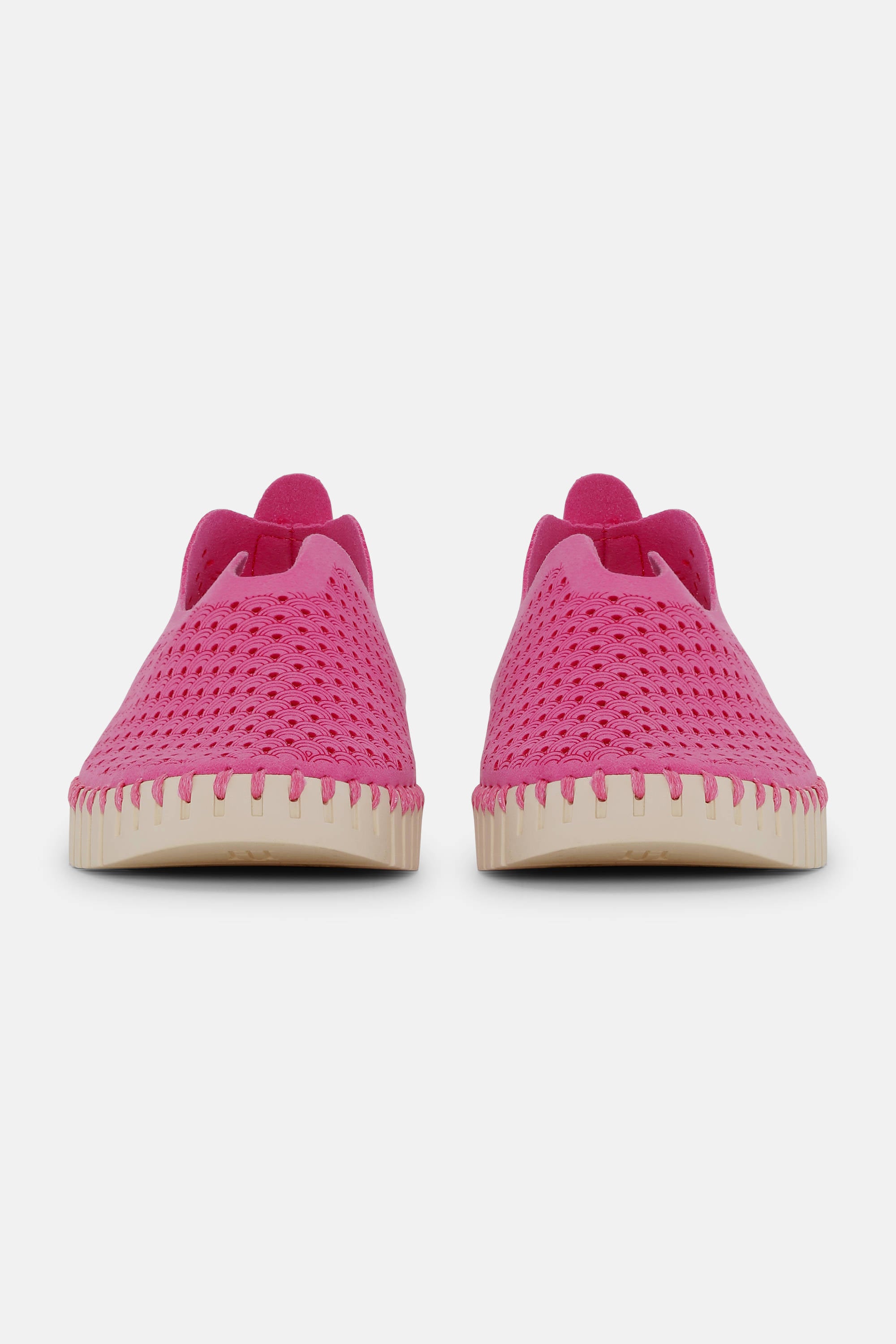 Tulip Skor - Rose Violet